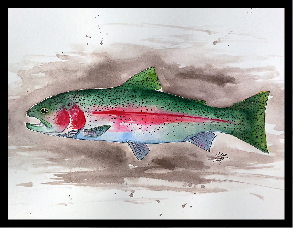 A Year On The Fly Two Rainbow Trout Paintings