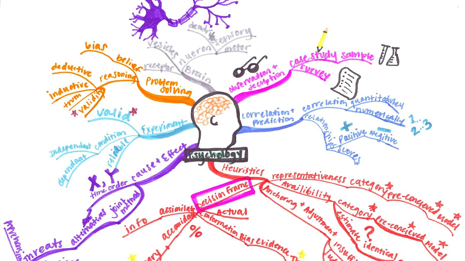 Psychology Majors In College College Choices