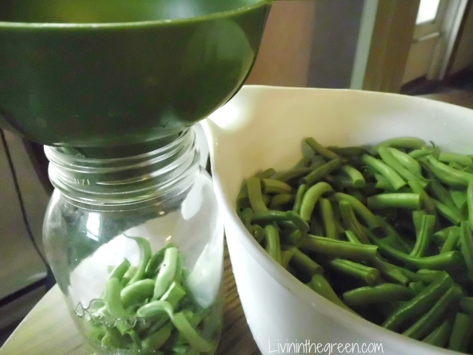 Livin' In The Green Canning Green Beans