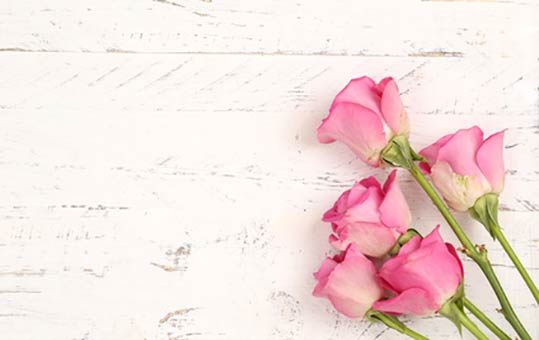 Geburtstagswunsche Geburtstagsspruche Geburtstagsgrusse Fur