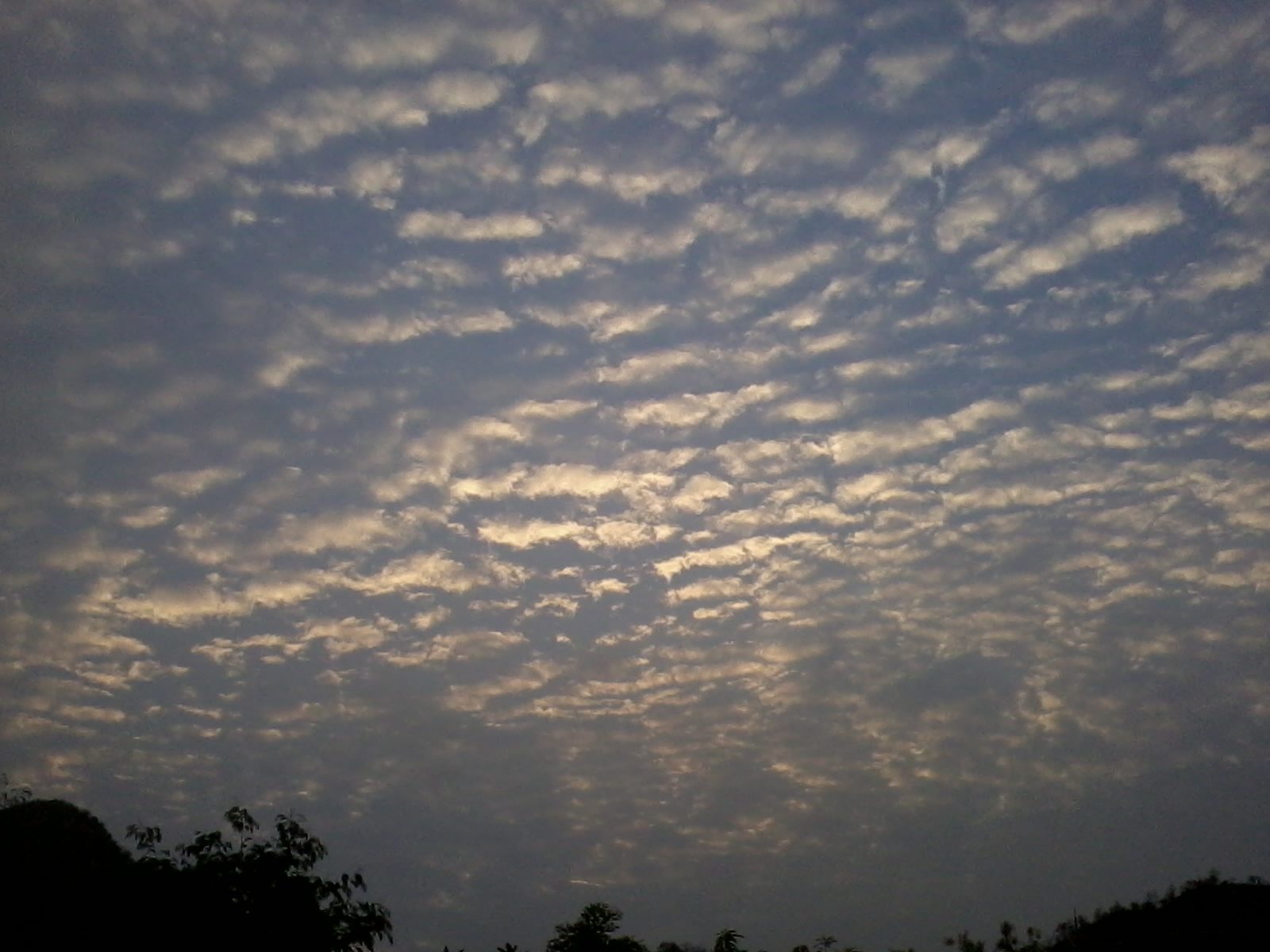 Blog of Sudhir Mishra, A Bolangir based Journalist The shinning and