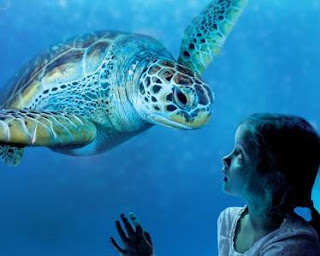 198e26e1 f715 4a6b 8502 56f5a12a09ae%2540augure