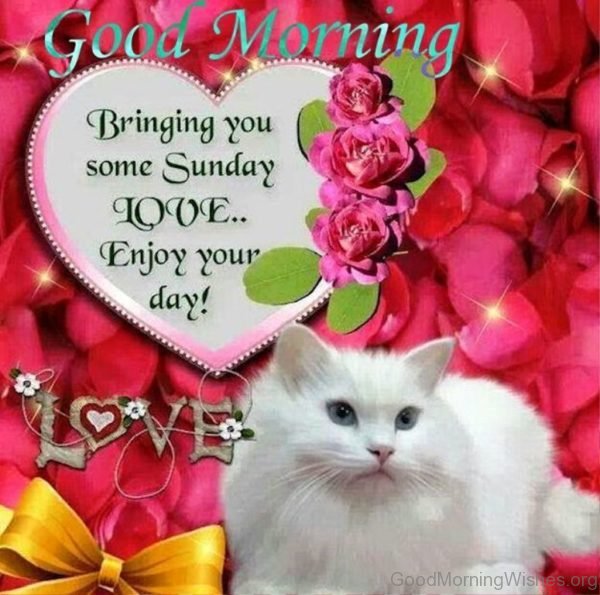 Featured image of post गुड मॉर्निंग डाउनलोड पिक्स - Contact गुड मॉर्निंग on messenger.