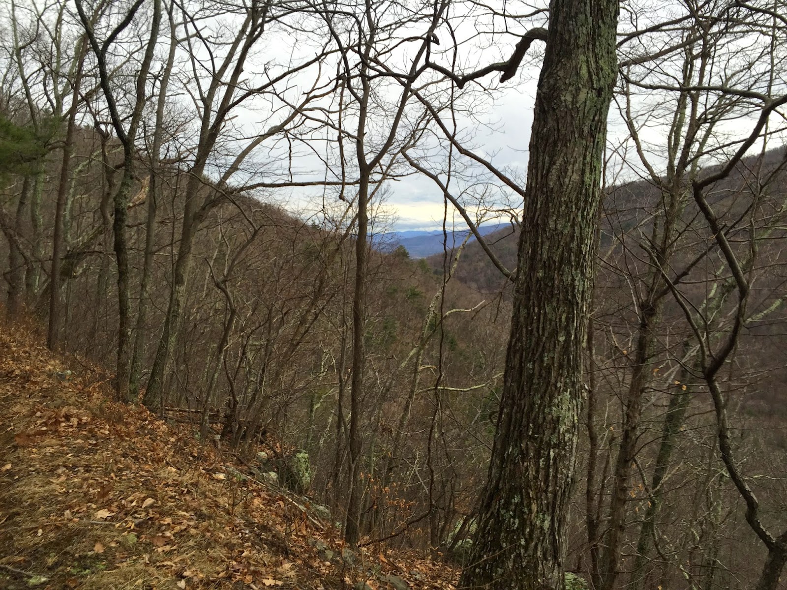 Wandering Virginia Hiking Shenandoah in Winter e Southern Option Wandering Virginia Hiking Shenandoah in Winter e Southern Option