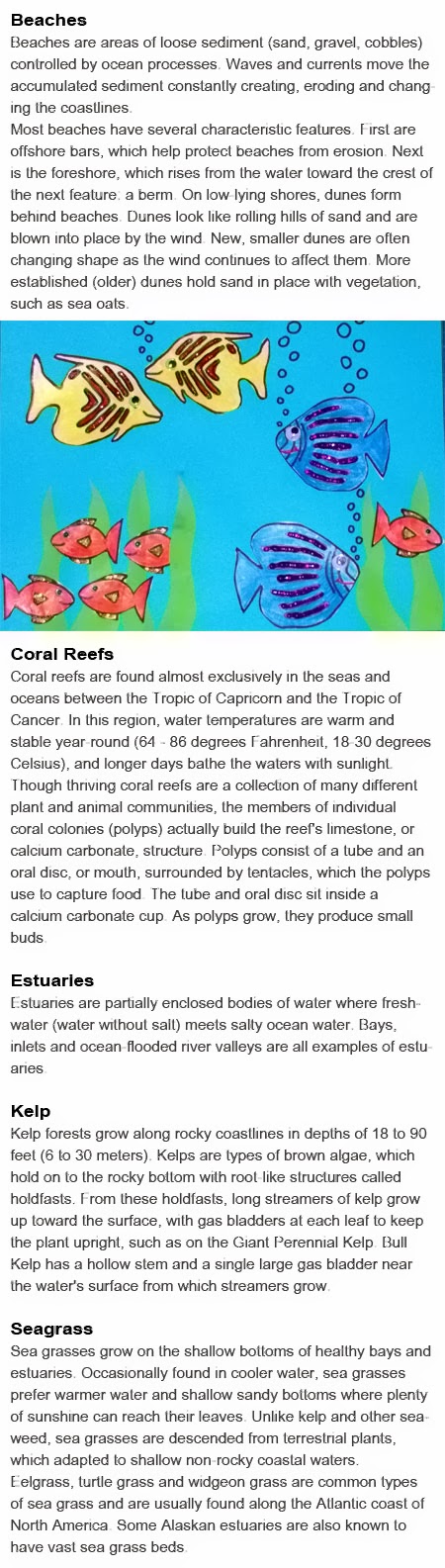 Ocean habitats for kids
