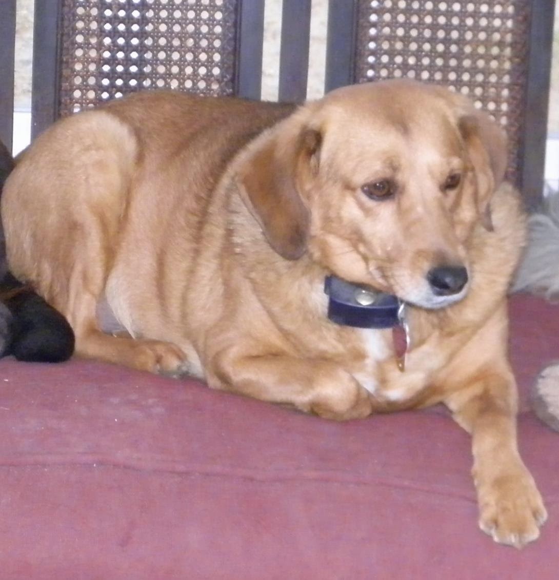 Daisy, Aug 2006-Mar 2015