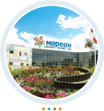 Мореон сертификат. Мореон аквапарк лого. Аквапарк в Москве Мореон лого. Логотип Мореона. Logo аквапарк Мореон.