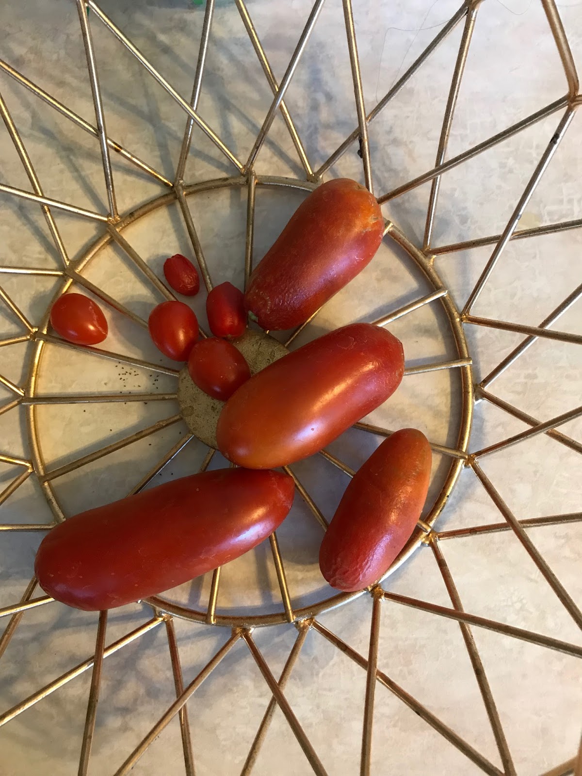 Thy Word Tomato allergy