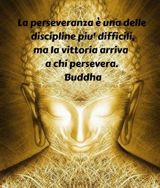 Daniele Mizzoni Buddha Siddhartha Gautama