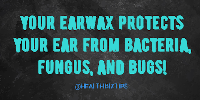 Your earwax protects your ear from bacteria, fungus, and bugs!