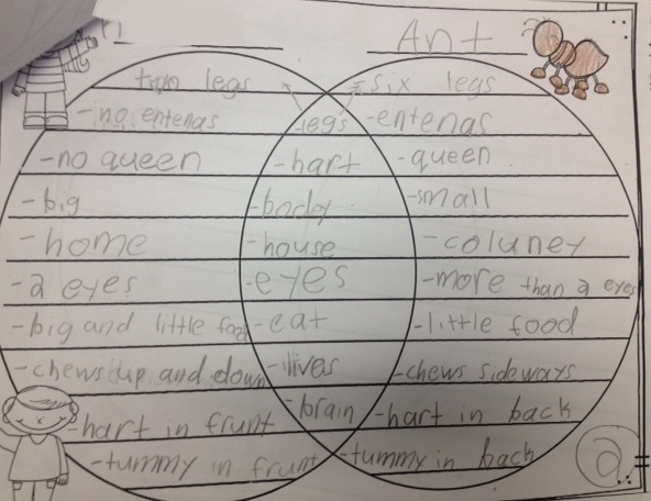 Hopping from K to 2!: Persuasive Writing and a Freebie!