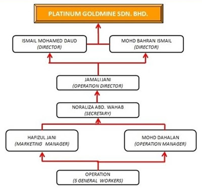 Organizational Charts The Hidden Statistical Goldmine - ynpusxi