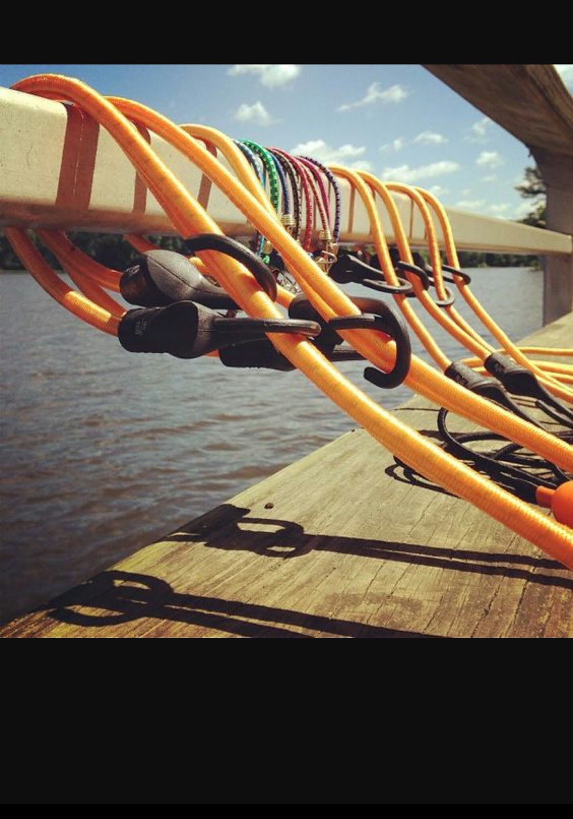 My Ramblings Bungee Cords