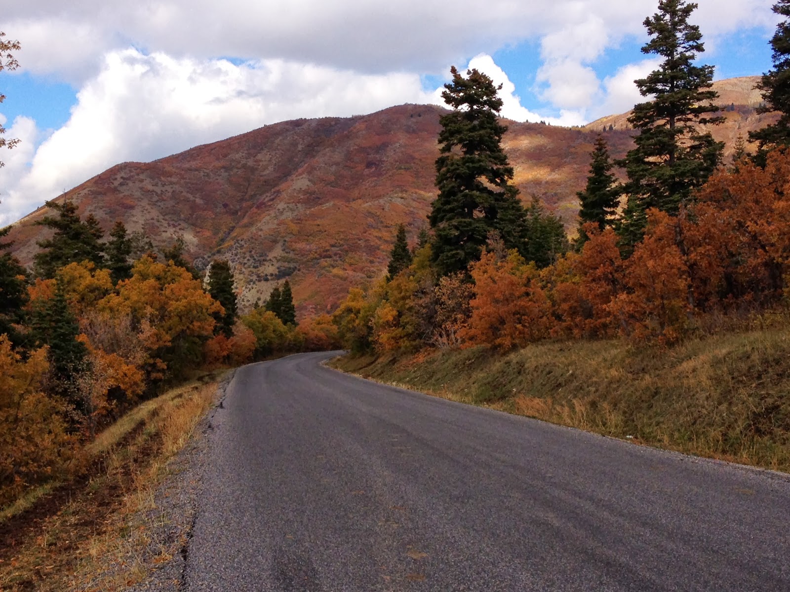 Fall Day on Mount Nebo Scenic Byway...