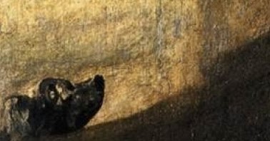 Giovanna Frene, Tecnica di sopravvivenza per l’Occidente che affonda (Arcipelago Itaca, 2015) - Una nota di Marco Scarpa