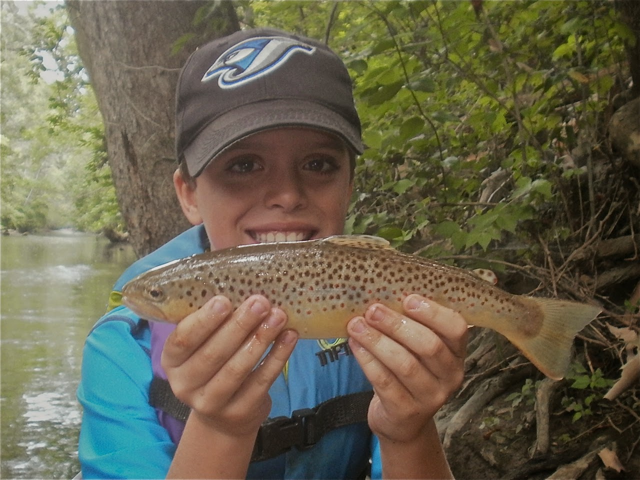 Canoeing In Ohio Mad River Brown Trout