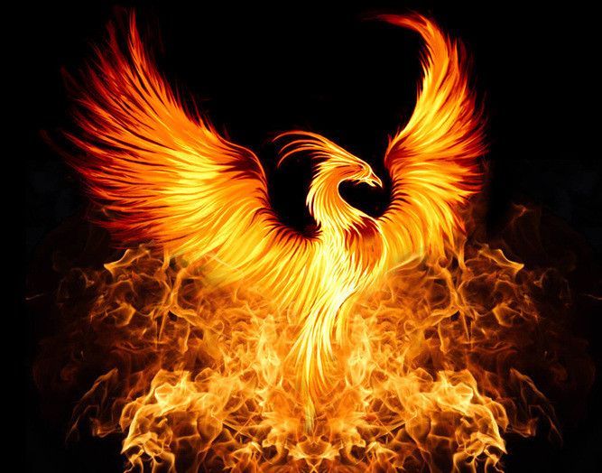 Rising Phoenix