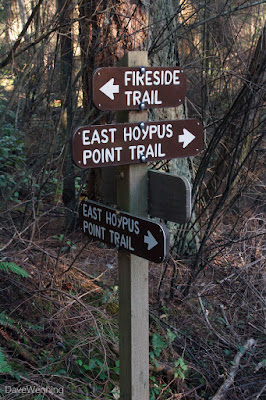 East Hoypus Trail Junction