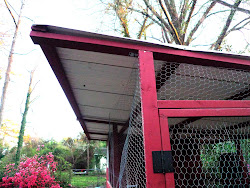 corrugated metal roof chicken coop 1