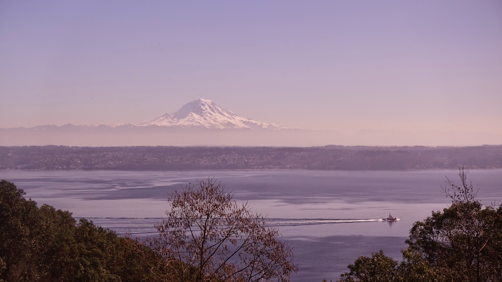 From Where I'm Standing VashonMaury Island Cycling