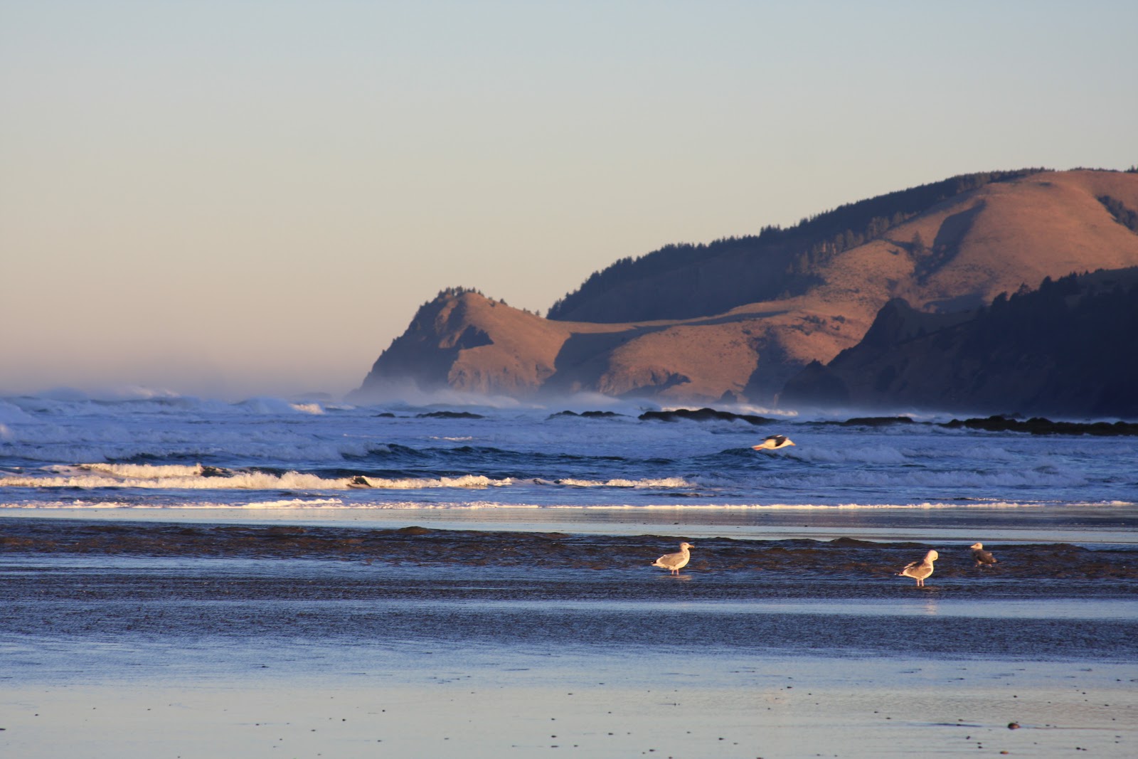 Oregon Coast Real Estate Homes Land Condo's A morning shot of
