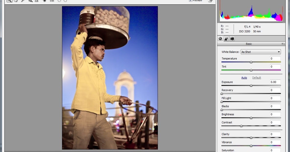 raw file as dng in adobe photoshop elements