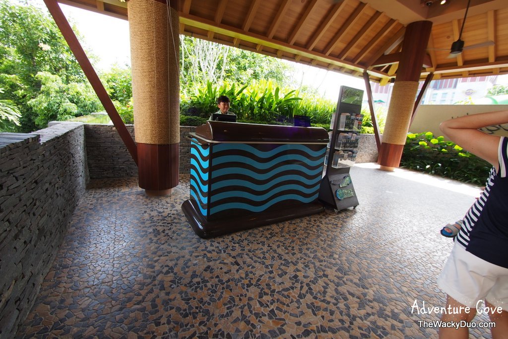 Splash splash Adventure Cove Waterpark Singapore