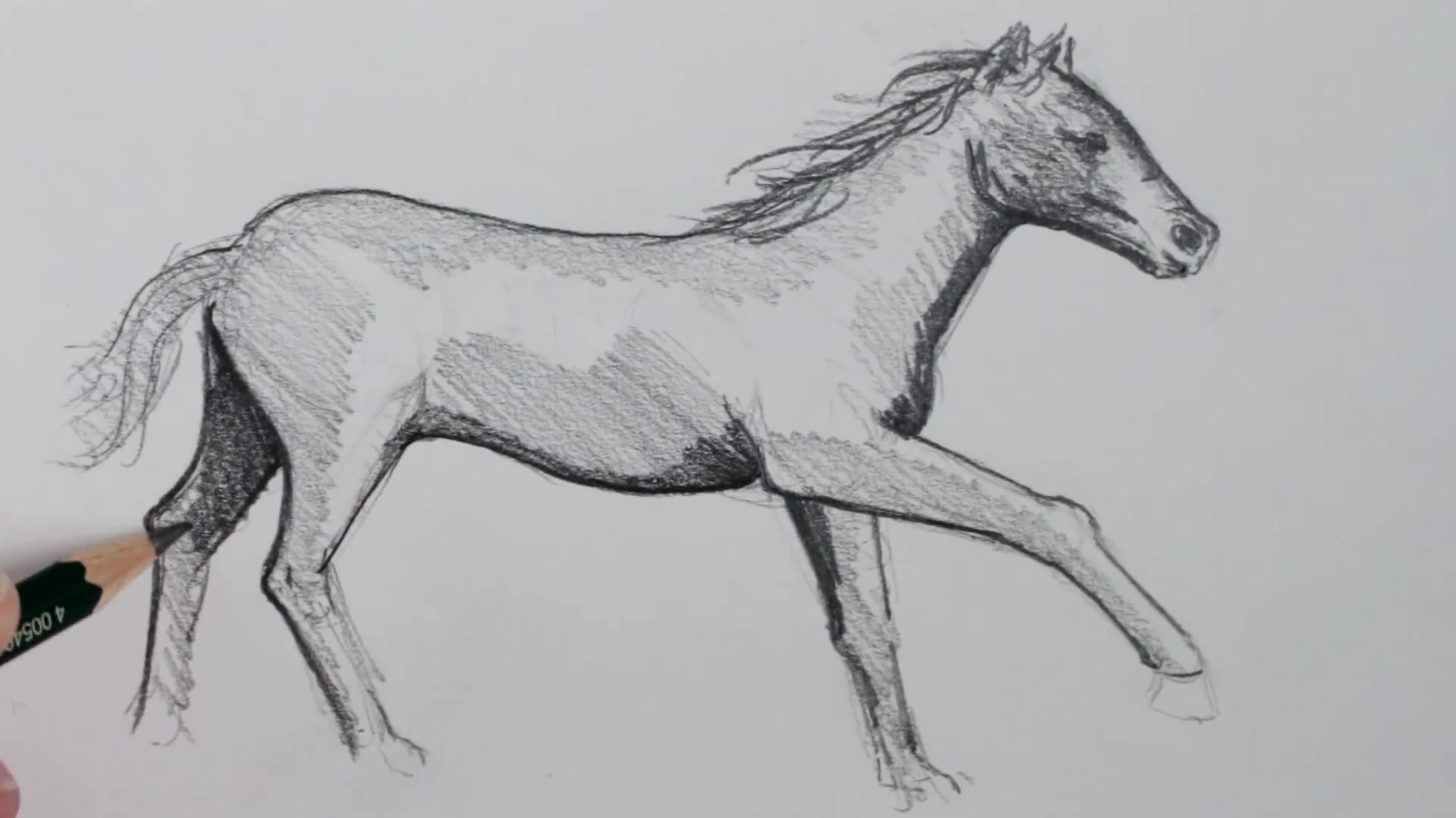 رسم حصان بالرصاص