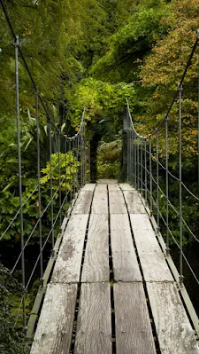 Suspension bridge in Mount Usher Gardens in County Wicklow