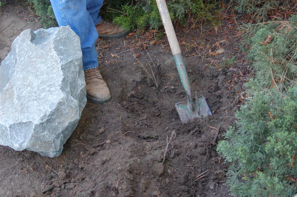 The 2 Minute Gardener Photo Planting Rocks