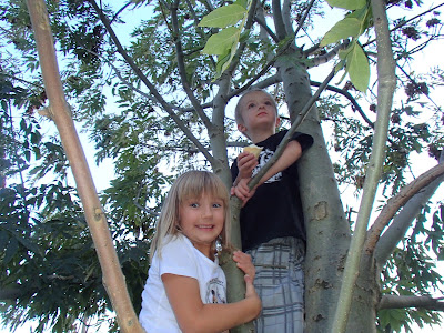 Węgrzce, wchodzenie na drzewa, ratowanie dziecka