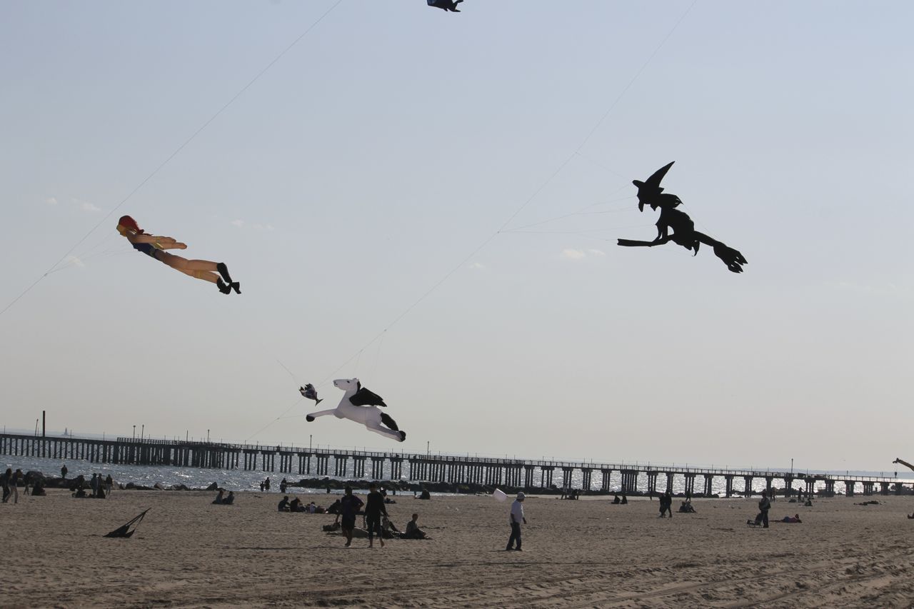 City Lawns and Island Kites Scenes from a Pair of Walks in Brooklyn