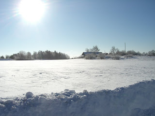 Vinterpromenad%2Bp%25C3%25A5%2Blunchen%2B%25282%2529 - Bra medicin mot min förkylning