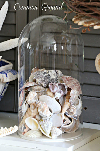 1,700+ Seashells Decoration In Glass Stock Photos, Pictures