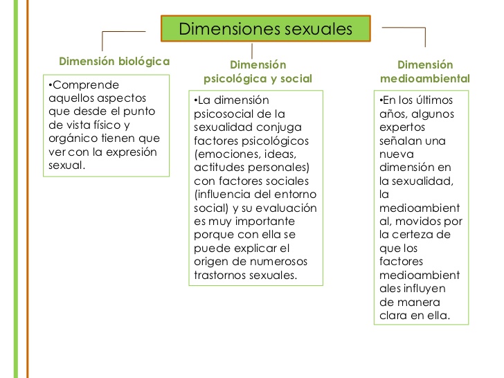 Mapa conceptual de diemsion de sexualidad