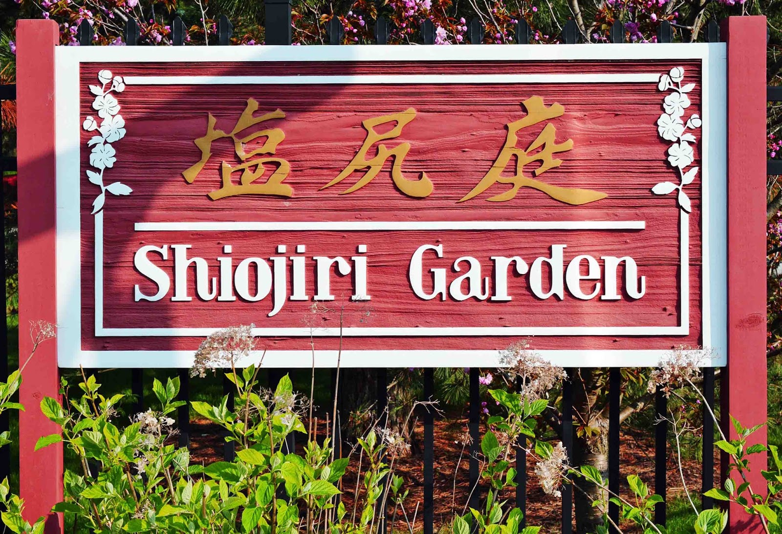 theresa's mixed nuts: shiojiri garden in spring