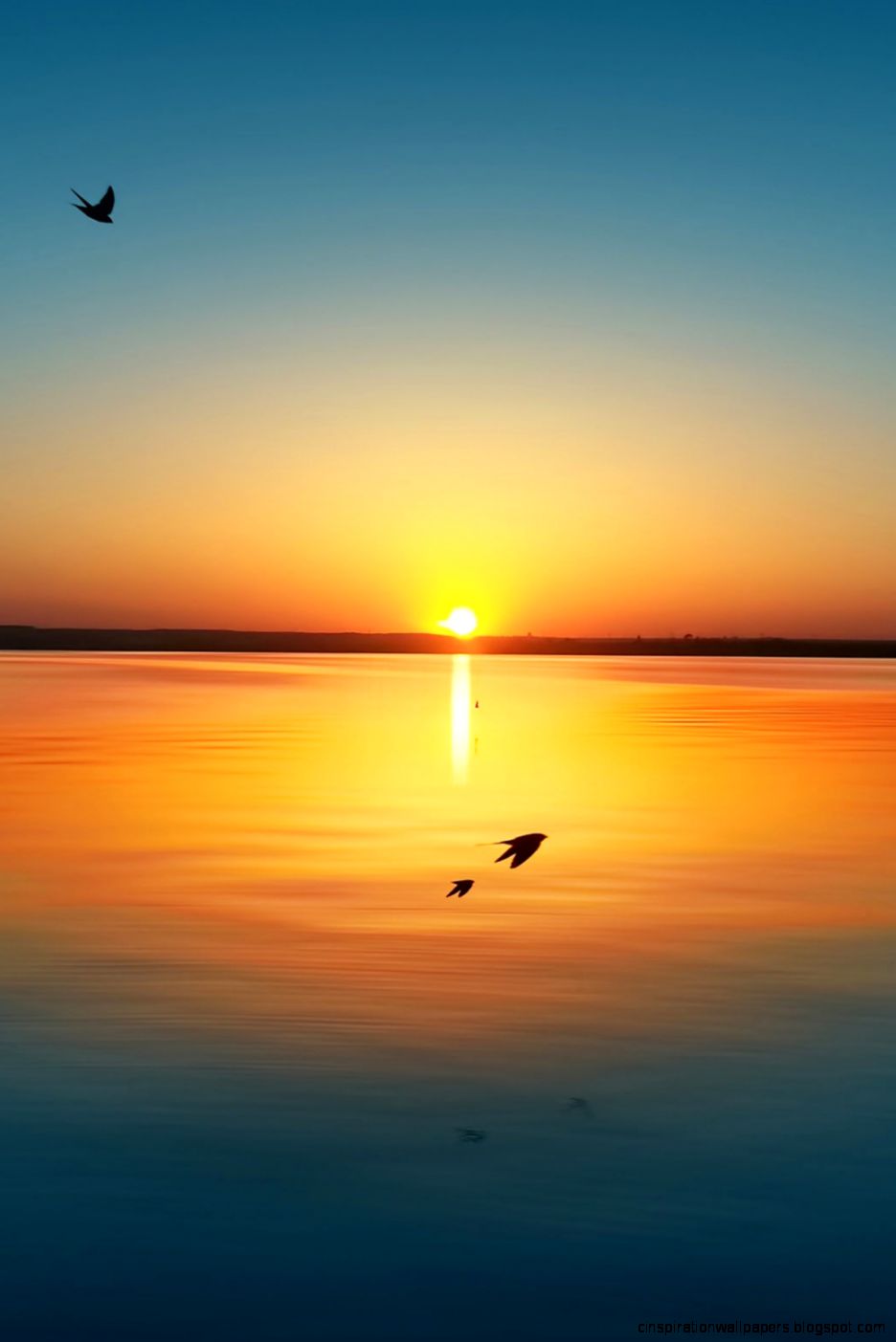 Best iOS 7 Wallpapers with Live Parallax Effects