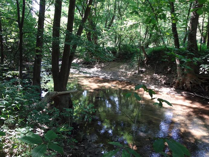 Exploring WV THE HORSE CREEK PETROGLYPHS Affectioknit