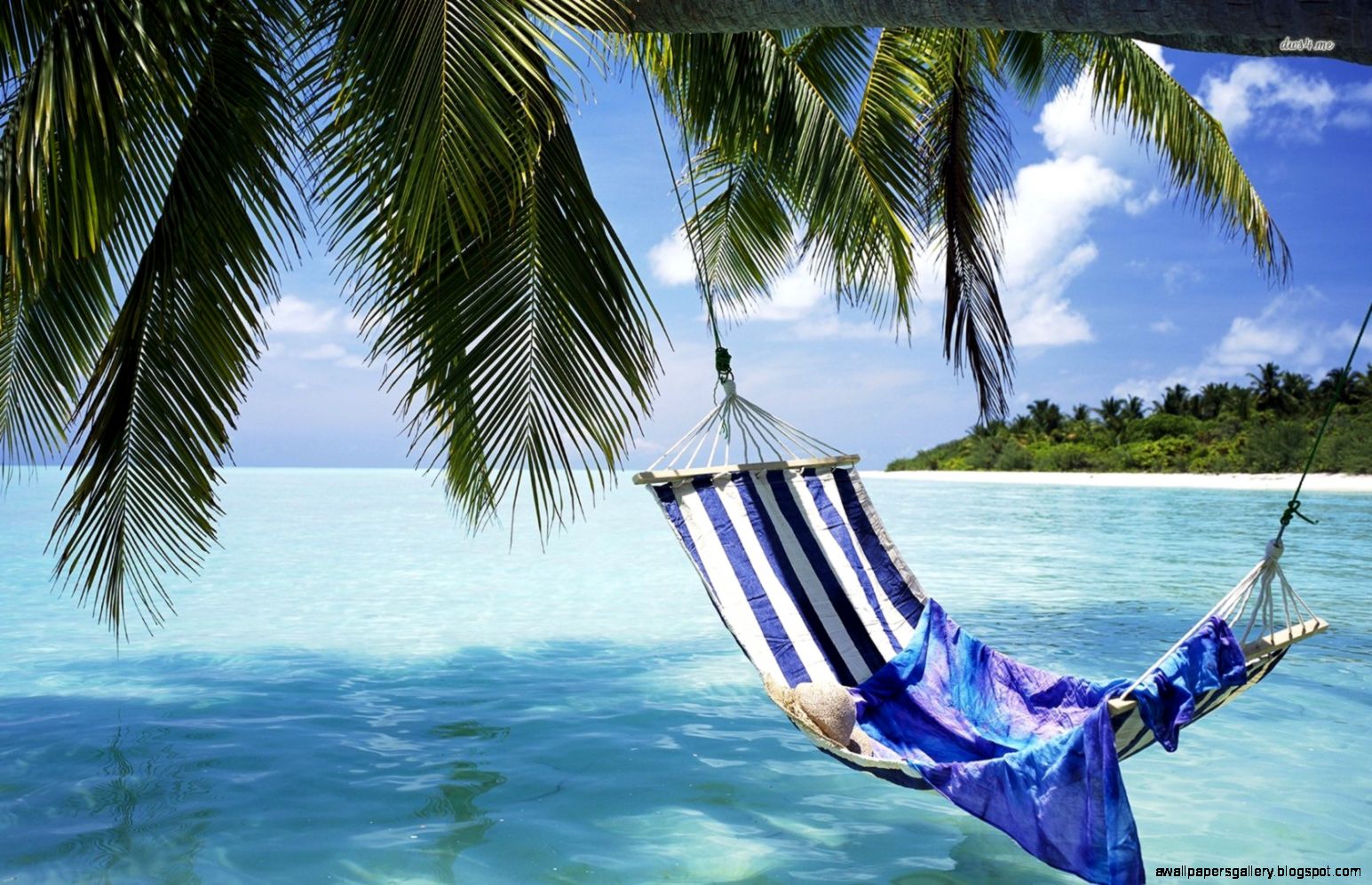 Beach Hammock Pictures   Wallpapers HD Fine