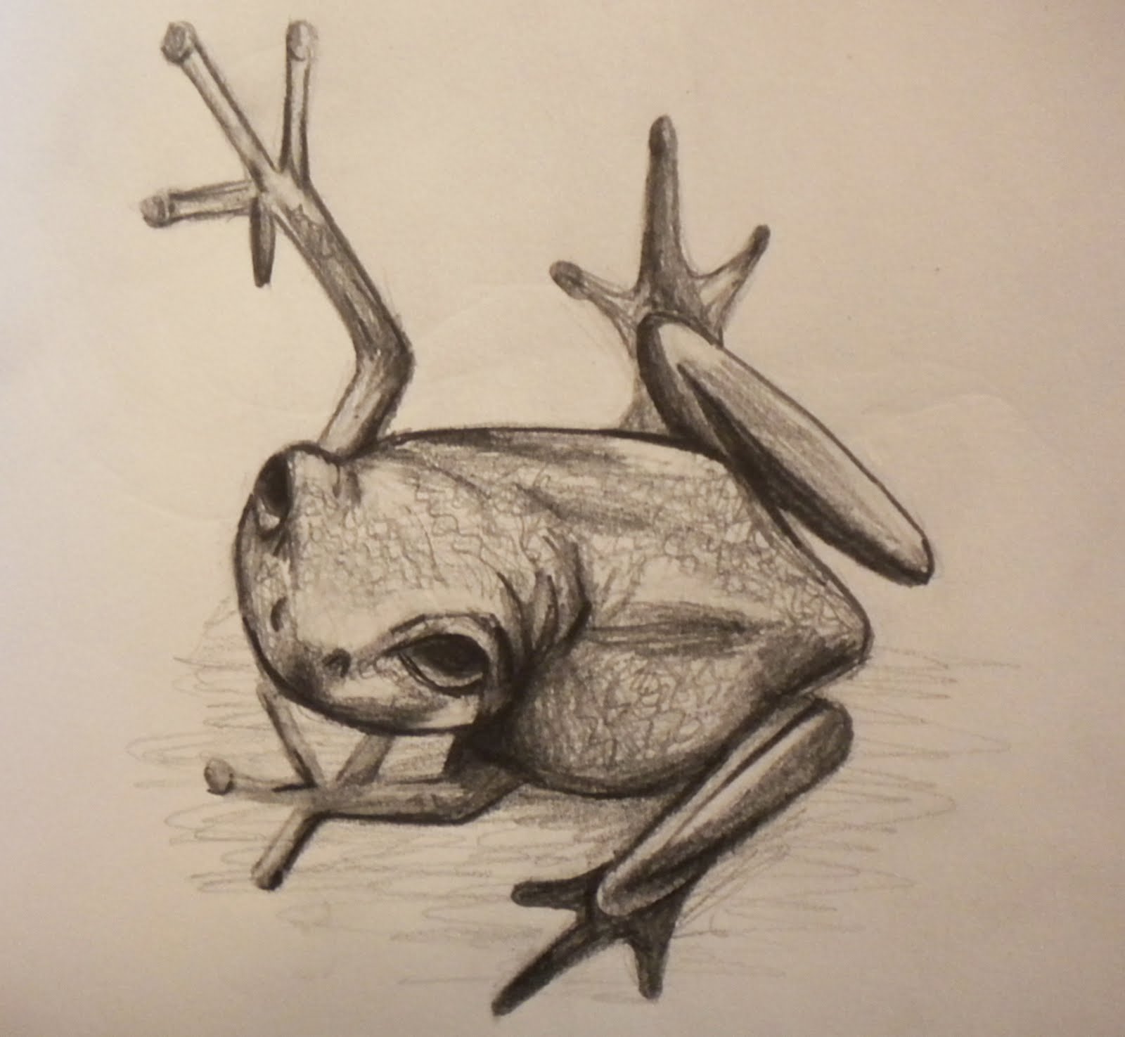 Pointsies: Frog Doodle