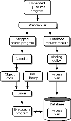 Embedded SQL (Static SQL) in DBMS
