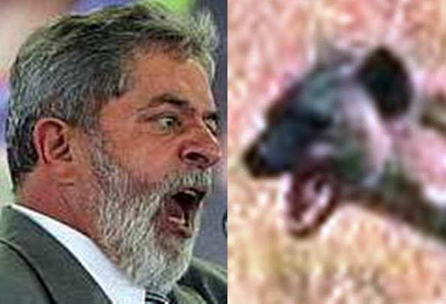 Resultado de imagem para Inconformado, Lula reclama da covardia dos petistas, que perderam a coragem de defender o PT