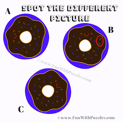 This is Answer image of Find the Odd One Out Picture Puzzle