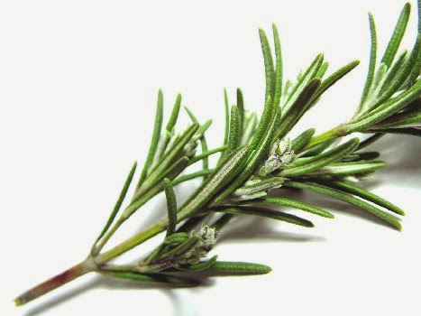5 Reasons Why Rosemary Tea Rinses Help Hair