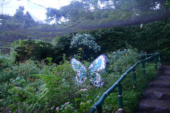 palawan butterfly garden