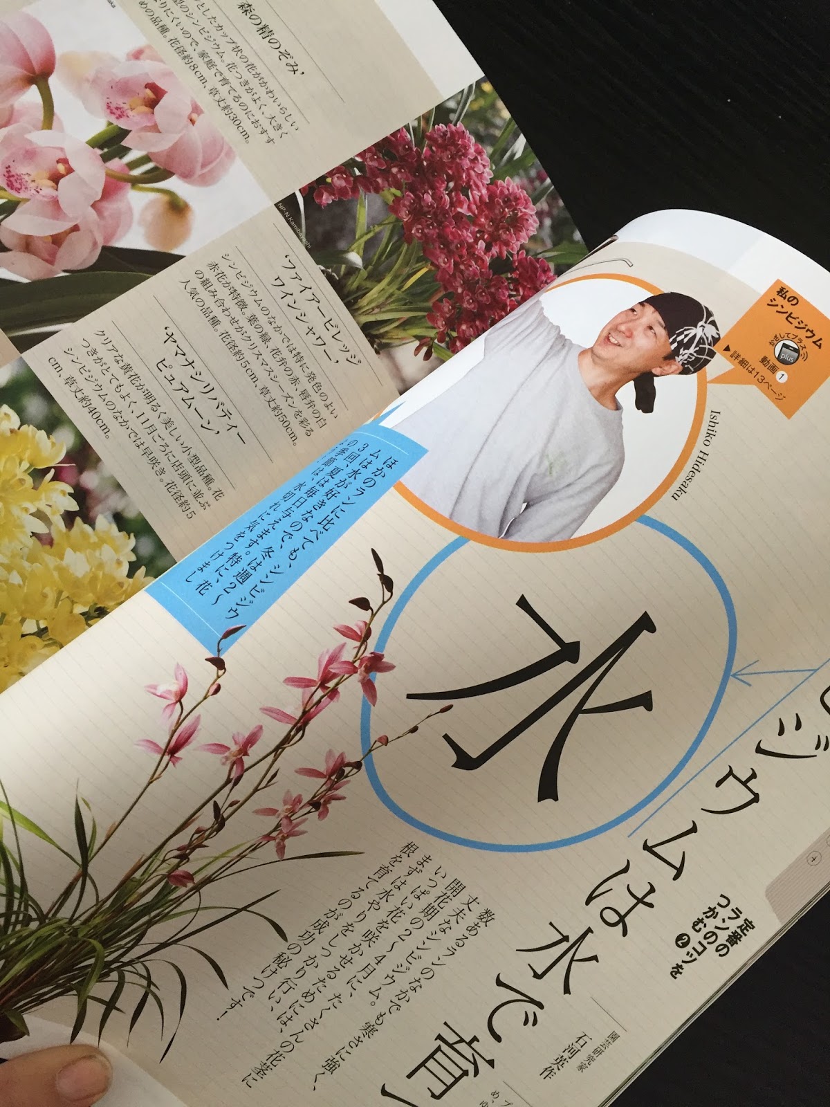 道草 Michikusa Blog 小さな苔の森 趣味の園芸１２月号