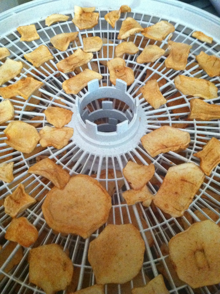 MamaBreak: Nesco Dehydrator Review