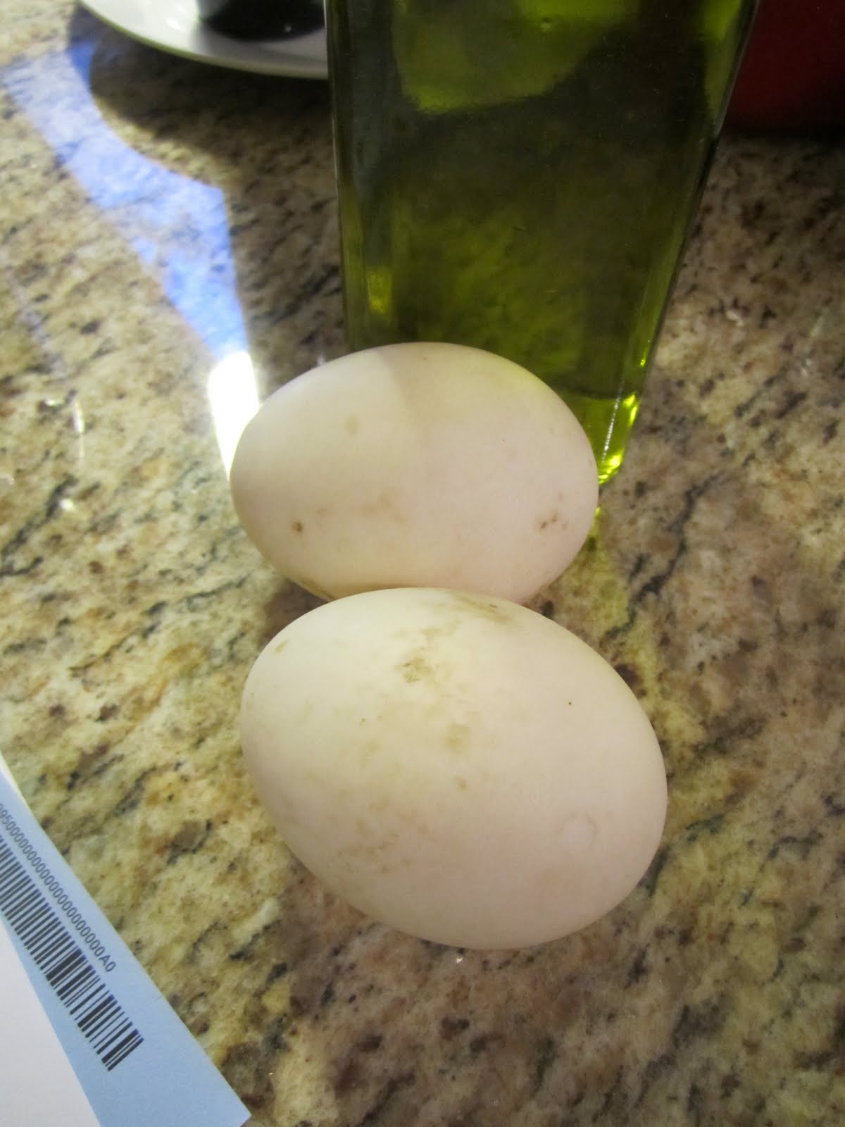 Emi and Kyle Heart Food The Incredible, Edible Duck Egg