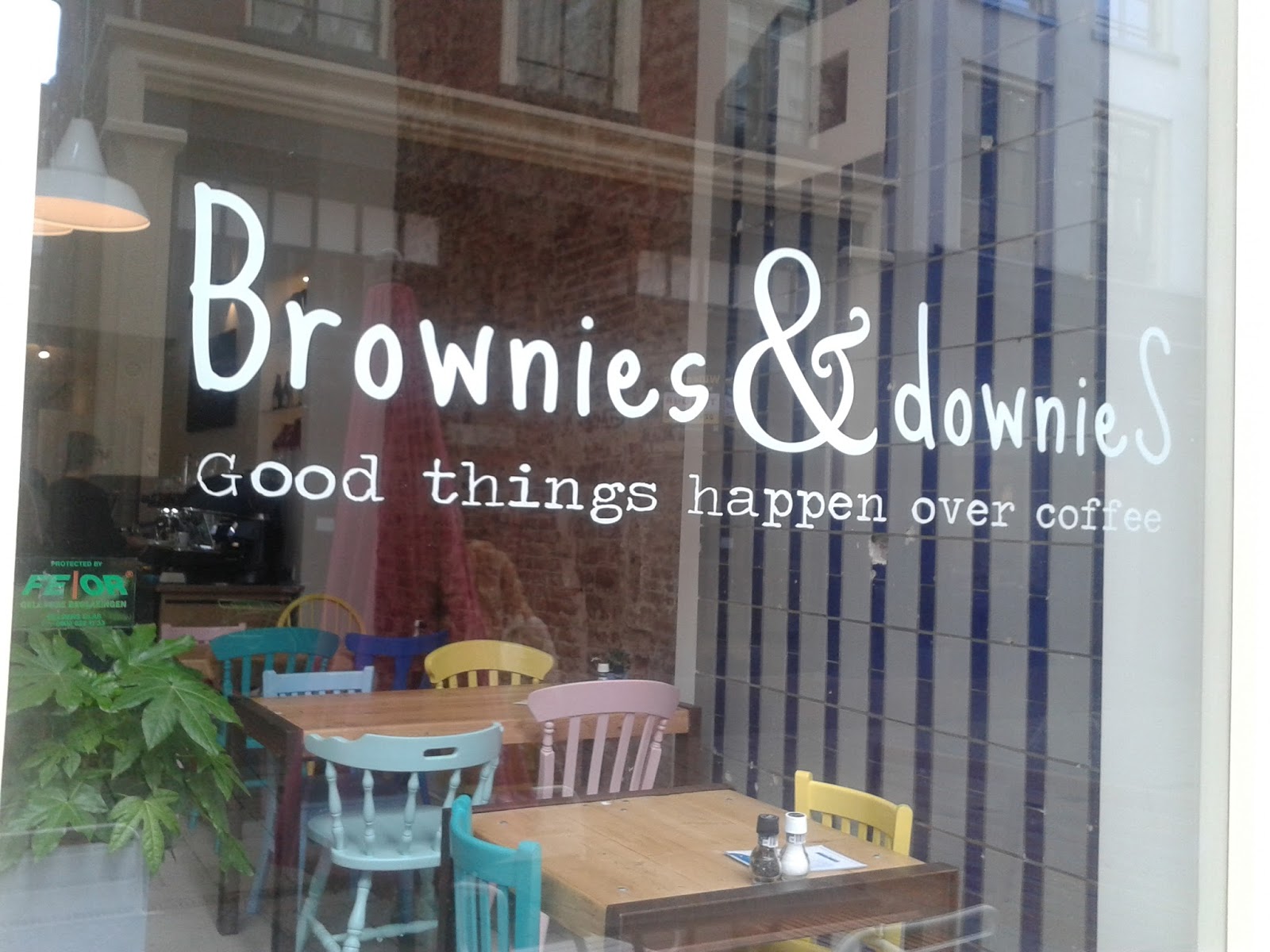 Hip en Kleurig Brownies and downieS