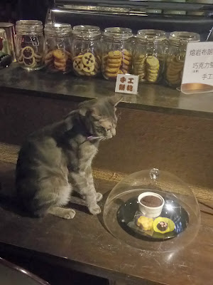 貓嘰咕咖啡